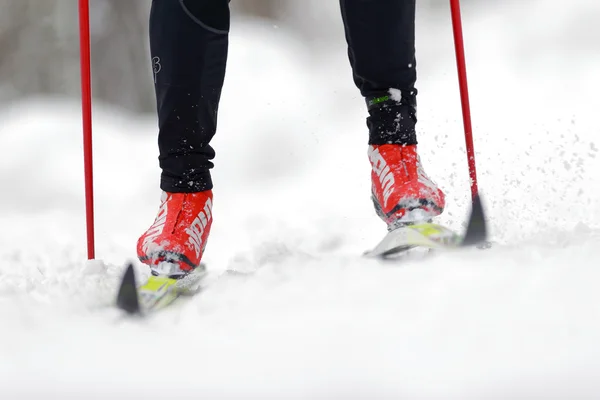 Detalhe de pernas e pés na maratona de esqui em esqui cross country — Fotografia de Stock