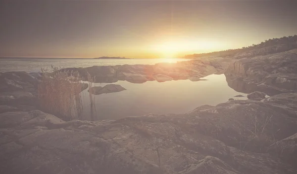 Alba sulla costa con laghetto naturale e agrifoglio — Foto Stock