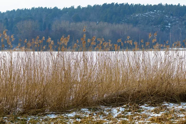 Belltower v kostele Tullinge při západu slunce — Stock fotografie