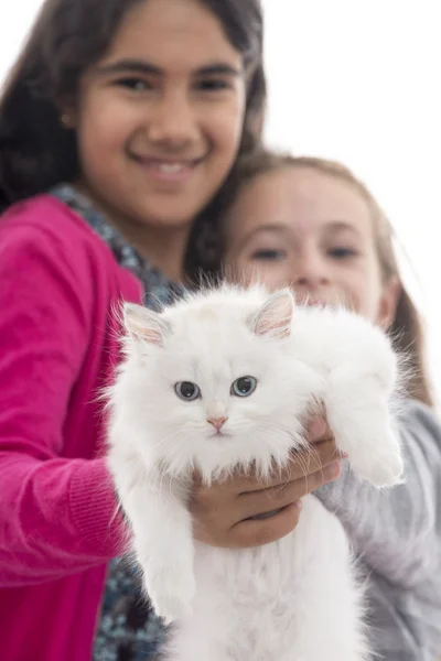 Twee meisjes met kat — Stockfoto