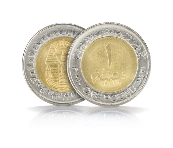 Un primer plano de libra egipcia — Foto de Stock