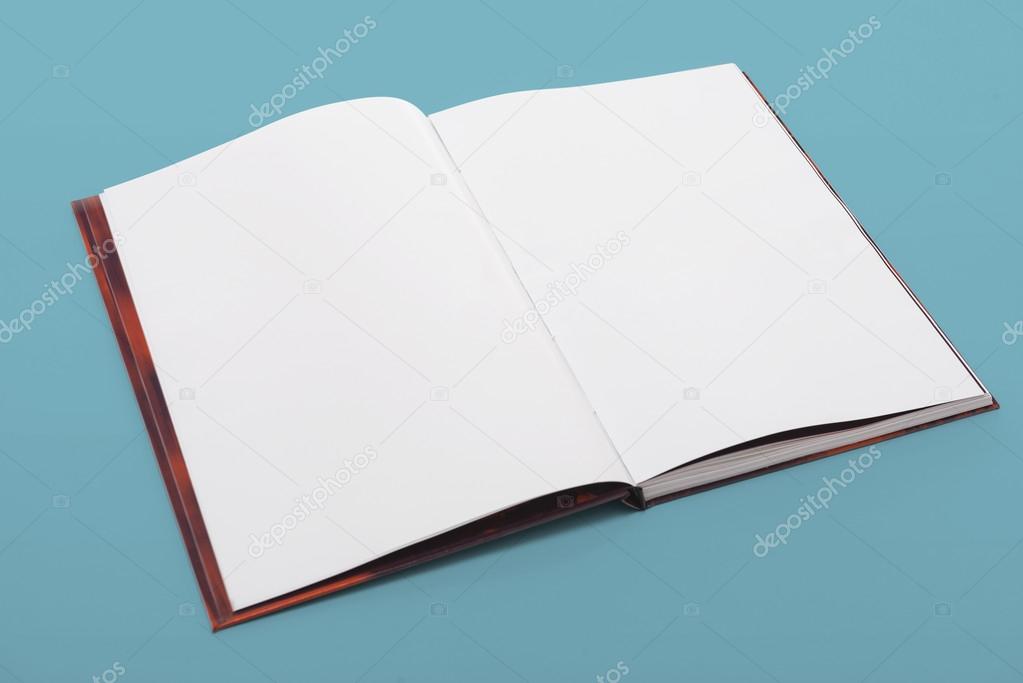 Blank Open Book