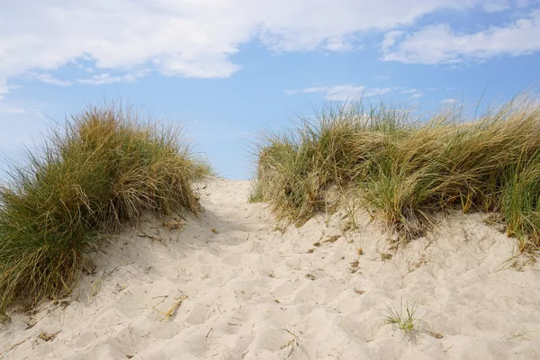 Duna de areia à beira-mar baltico — Fotografia de Stock