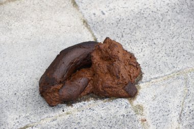 köpek pisliği veya kir