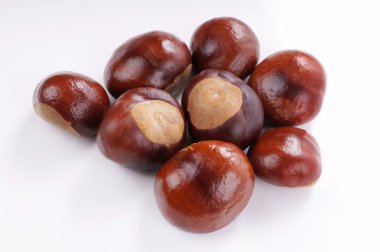 kestane