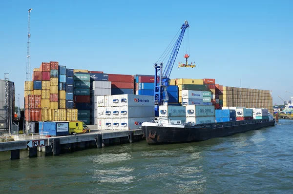 Port w Rotterdamie — Zdjęcie stockowe