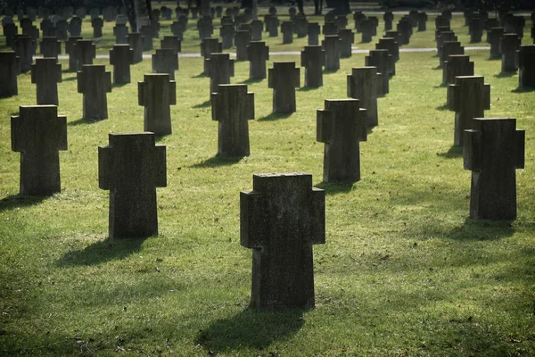 War graves — Stock Fotó