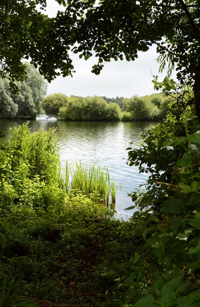 Lake omlijst door bomen op een schaduwrijke oever — Stockfoto