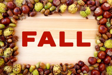 Ahşap nustur, conkers, meşe palamutları kenarlıklı üzerinde yazılı kalmaktadır
