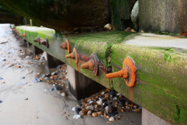 Szczegóły Pogody Pokryte Glonami Groyne Obrony Morza Plaży Eastbourne Południowo — Zdjęcie stockowe