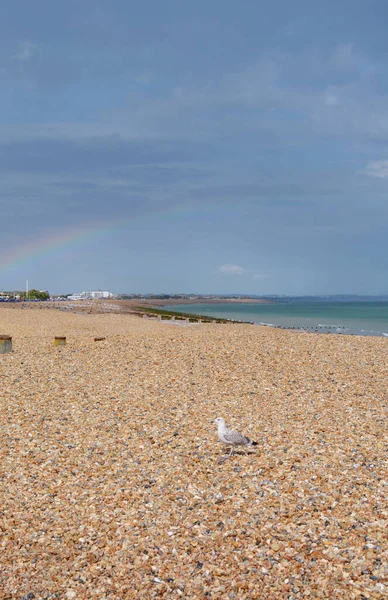 Seagull Sunshine Pebble Beach Eastbourne Faint Rainbow Arches Dark Sky — Stock Photo, Image