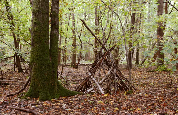 Improviserade Wigwam Skydd Byggt Från Fallna Grenar Bland Mossiga Träd — Stockfoto