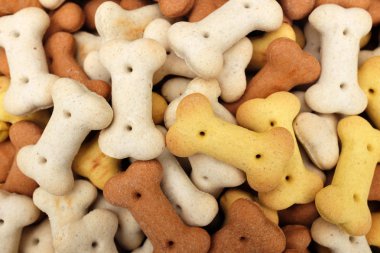 Kuru Köpek Gıda bisküvi yığını 