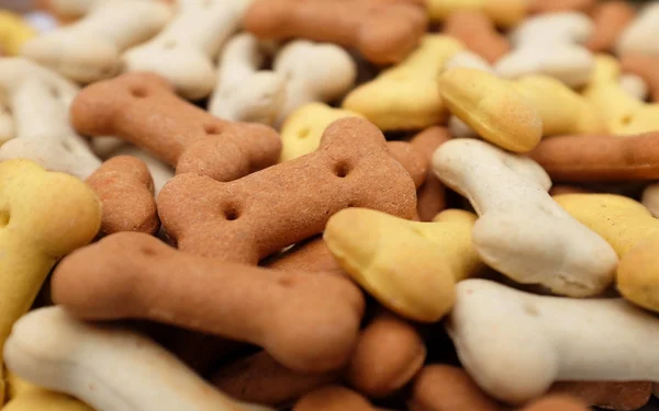 Detail sušených pro psy — Stock fotografie