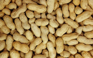 원숭이 너트 쉘 추상 배경 질감에