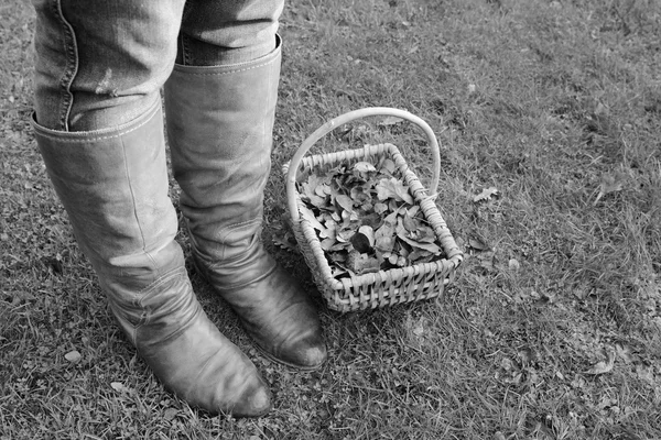 Mujer con botas de pie con una cesta de hojas de otoño —  Fotos de Stock