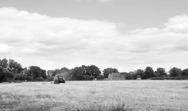 Солома для упаковки тракторов на поле фермы — стоковое фото