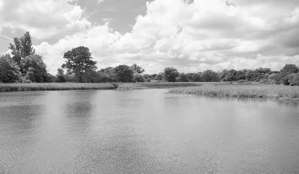 Bartley Water in the New Forest — Stockfoto
