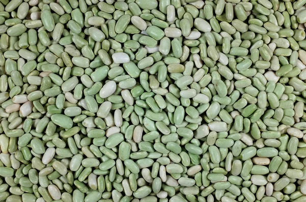 緑のフラジオレット豆背景 — ストック写真