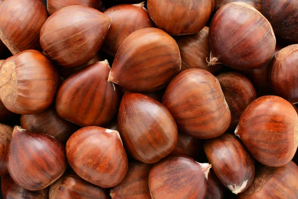 Edelkastanien Hintergrund — Stockfoto