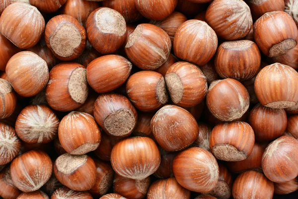 Hazelnuts background — Stock Photo, Image