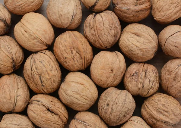 Walnuts in shells — Stock Photo, Image