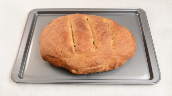 Freshly-baked bread, hot from the oven — Stock Photo, Image