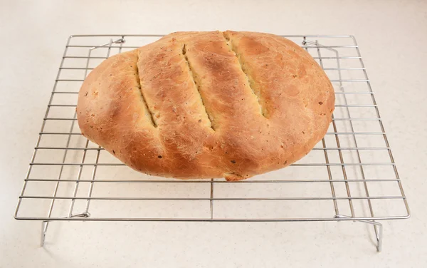 Vers gebakken brood koeling na het bakken — Stockfoto