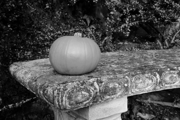 石のベンチに小さなひょうたん — ストック写真