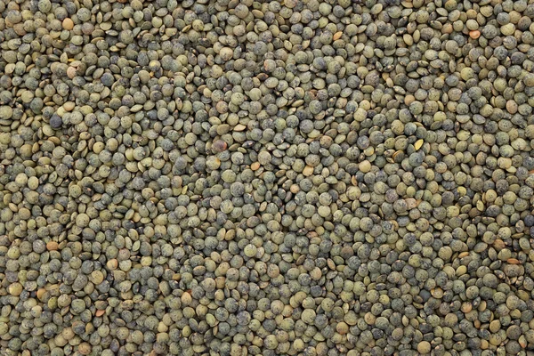 Dark green lentils background — Stock Photo, Image