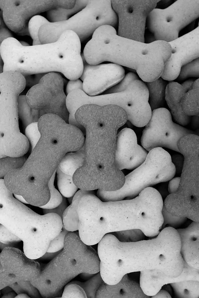 Smíšené psí sušenky — Stock fotografie
