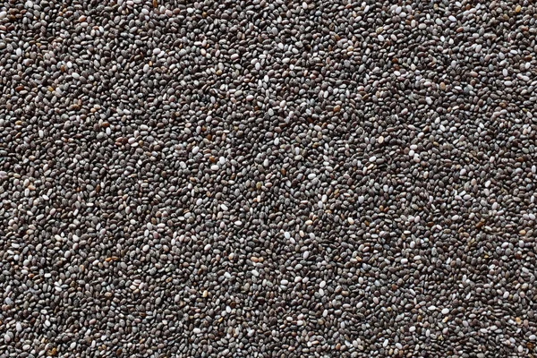 Chia semen — Stock fotografie