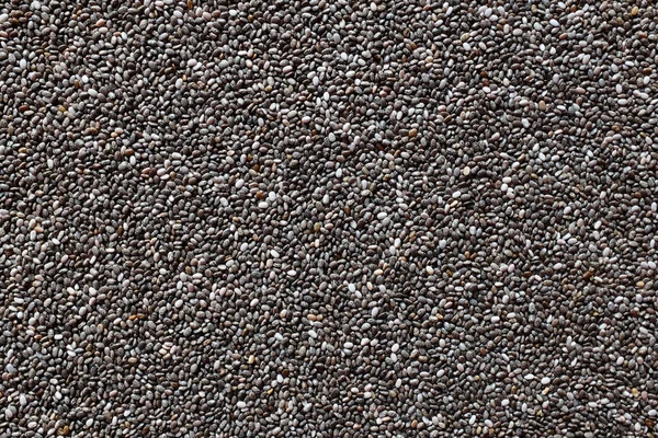 Chia tohumu 
