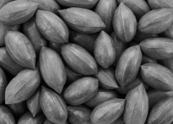 Pecan nuts background — Stock Photo, Image