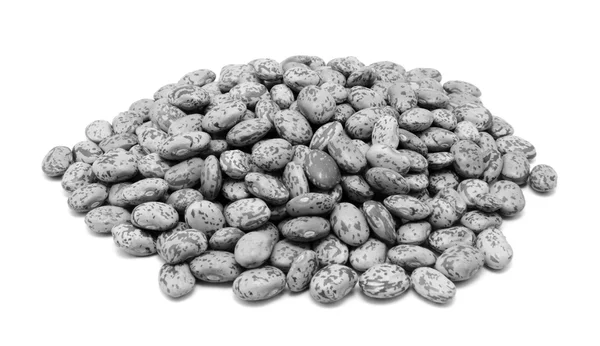 Pinto beans — Stock Photo, Image