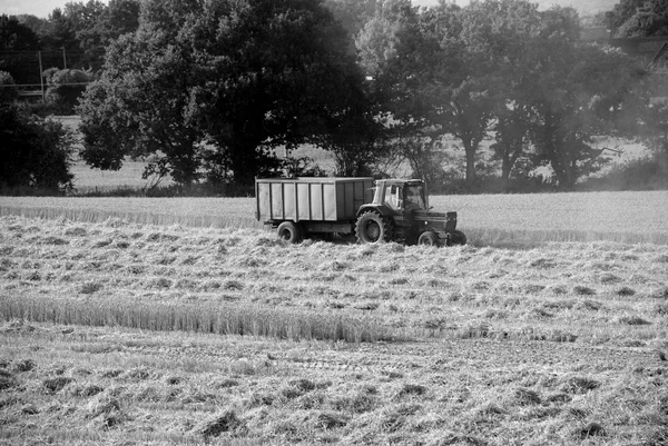 Trattore rimorchio tirando in un campo raccolto — Foto Stock