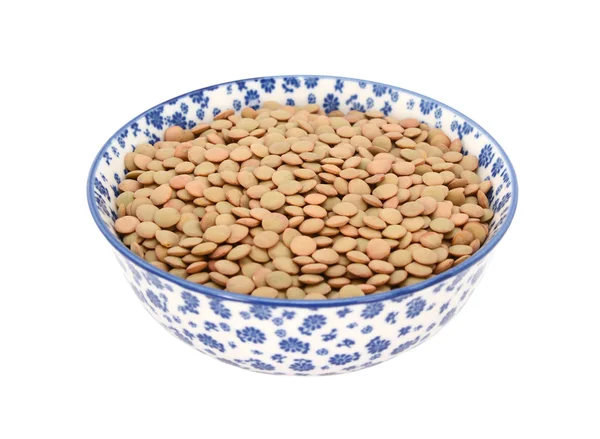 Green lentils in a blue and white china bowl — Stock Photo, Image