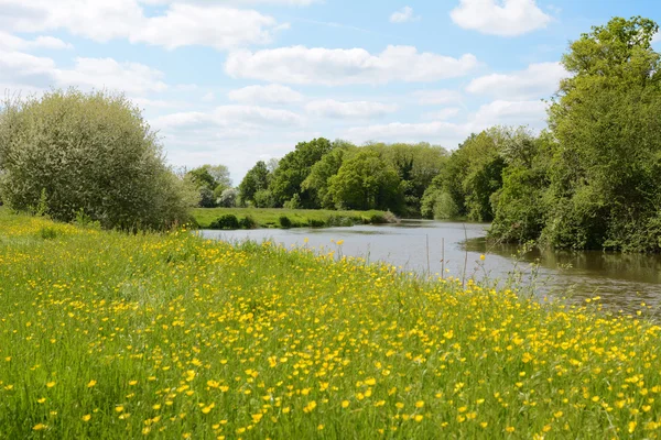 De rivier die stroomt door een weide — Stockfoto