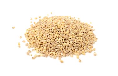 Pearl barley grains clipart