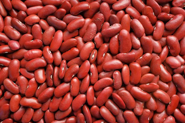 Sušené fazole červené pozadí — Stock fotografie