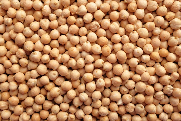 Dried chick peas background — Stock Photo, Image