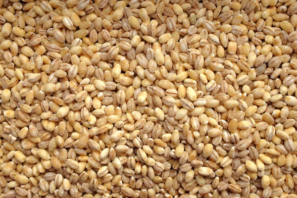 Pearl barley background — Stock Photo, Image