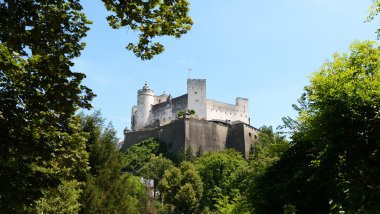 Klessheim Kalesi Salzburg ağaçlarda tarafından çerçeveli