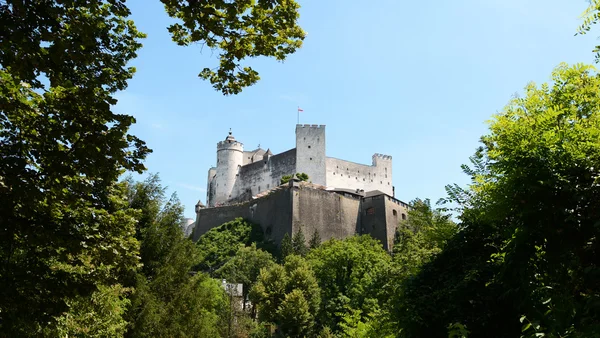 Barokní muzeum Salzburg lemovaná stromy v Salcburku — Stock fotografie