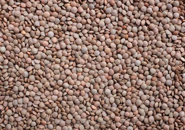 Brown lentils background — Stock Photo, Image