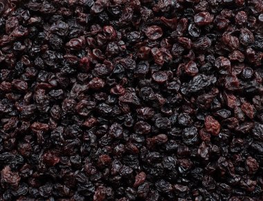 kuş üzümü arka plan