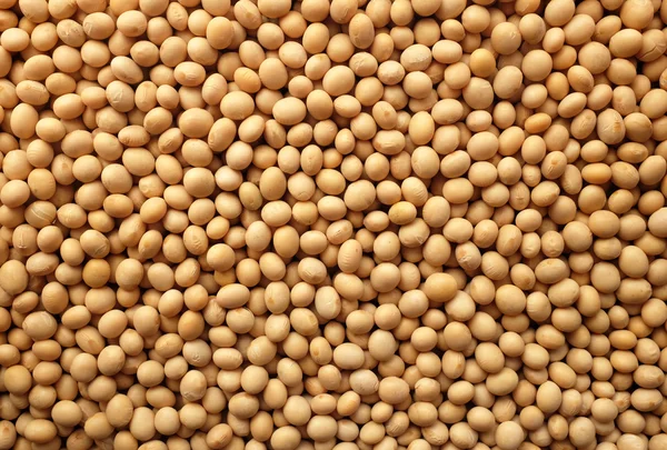 Soya fasulyesi veya soya fasulyesi arka plan