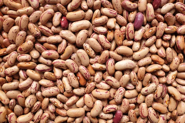 Borlotti fasulye veya Barbunya fasulye arka plan