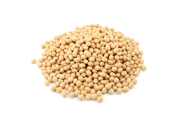 Soybeans, or soya beans — Stock Photo, Image
