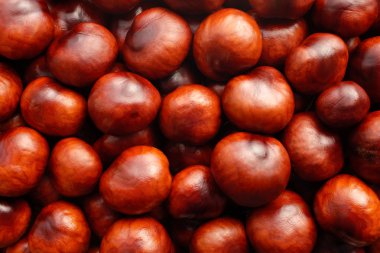 Zengin sonbahar conkers arka plan kahverengi